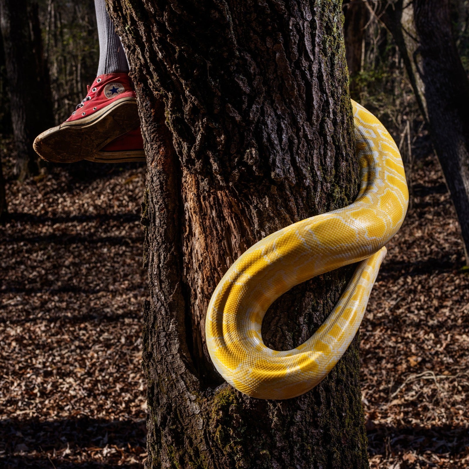 Spring 2026 Photography Workshops