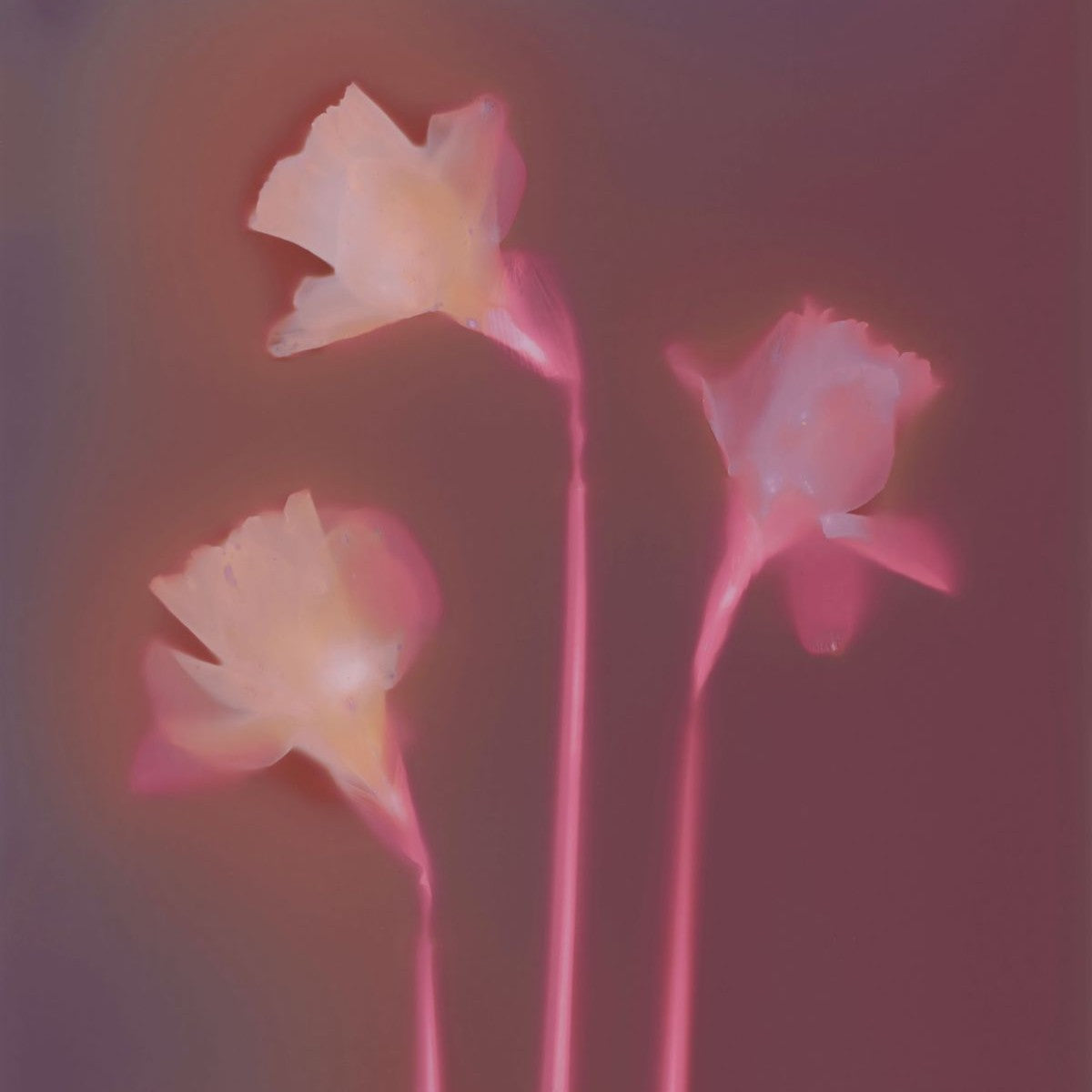 Fall 2025 Photography Classes