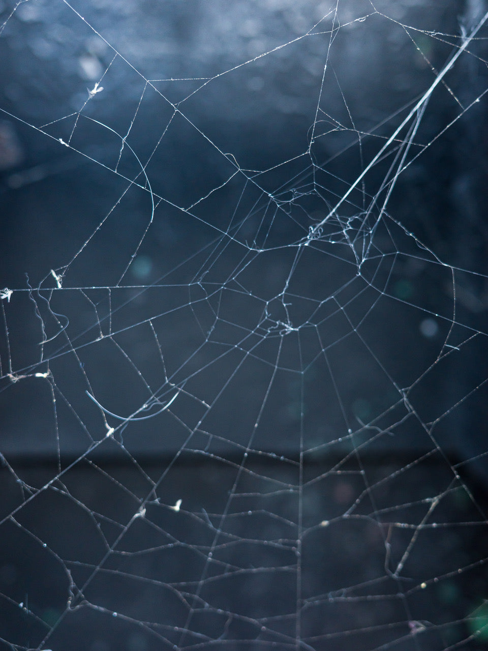 Line of Sight: Photographic Visual Literacy - Spring 2026