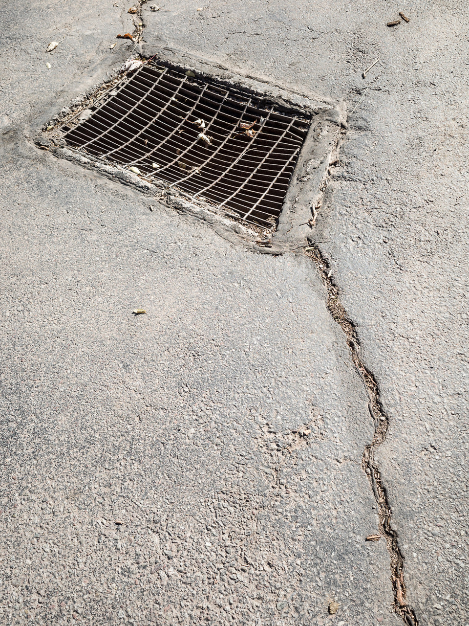 Line of Sight: Photographic Visual Literacy - Spring 2026