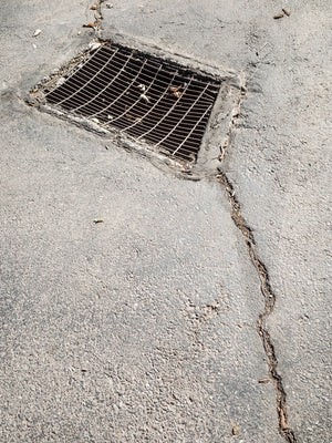 Line of Sight: Photographic Visual Literacy - Spring 2026