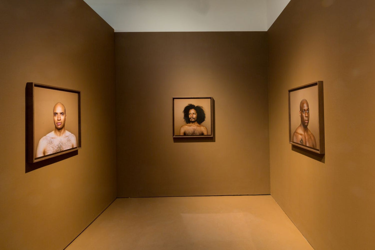 Line of Sight: Photographic Visual Literacy - Spring 2026