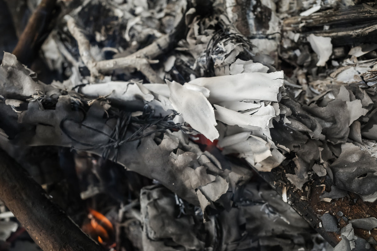 Line of Sight: Photographic Visual Literacy - Spring 2026