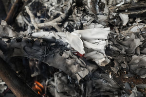 Line of Sight: Photographic Visual Literacy - Spring 2026