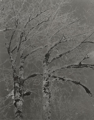 Special Effects: Creative Darkroom Techniques - Summer 2026