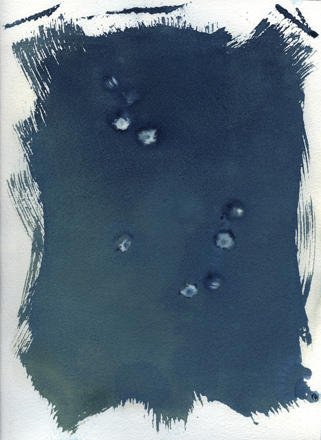 Andrea Netherwood - CTL 2026 Print, $25