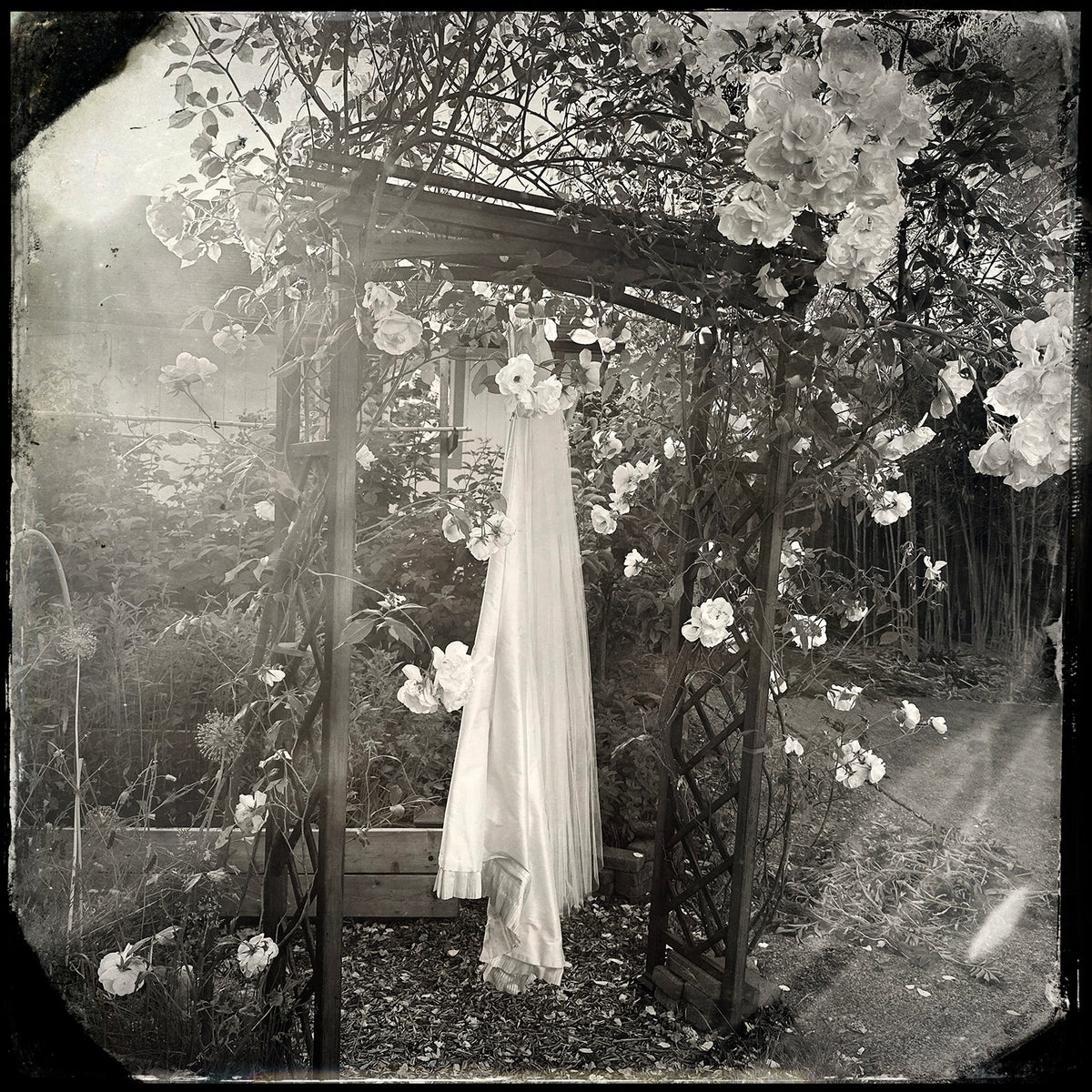 Ann Pallesen - CTL 2026 Print, $25