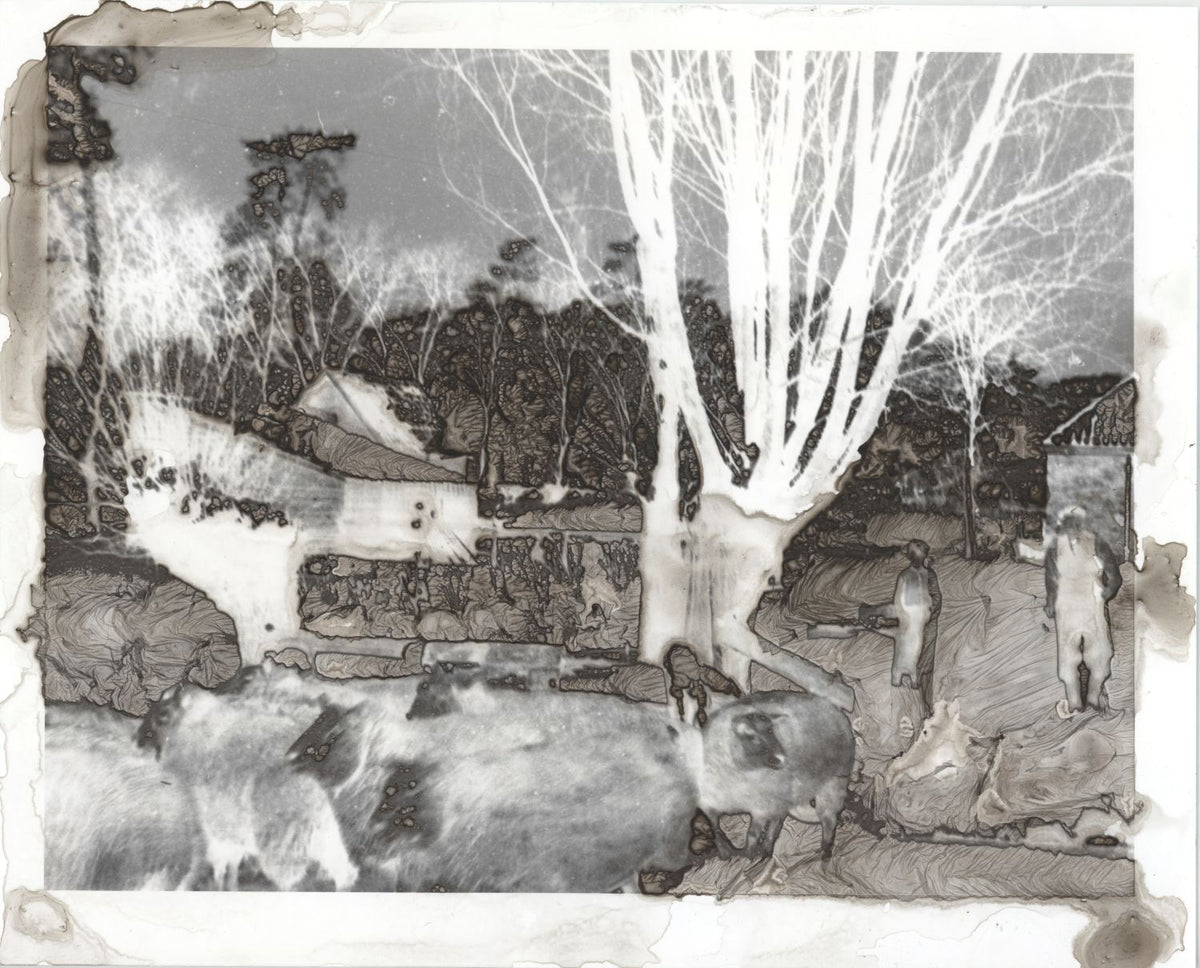 Special Effects: Creative Darkroom Techniques - Summer 2026