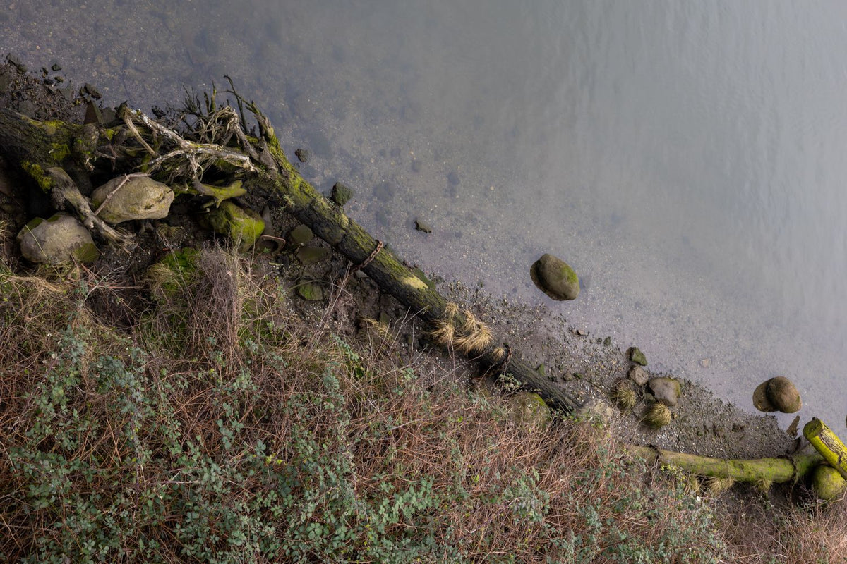 Photography I: Digital (Thursday AM Session) - Winter 2026