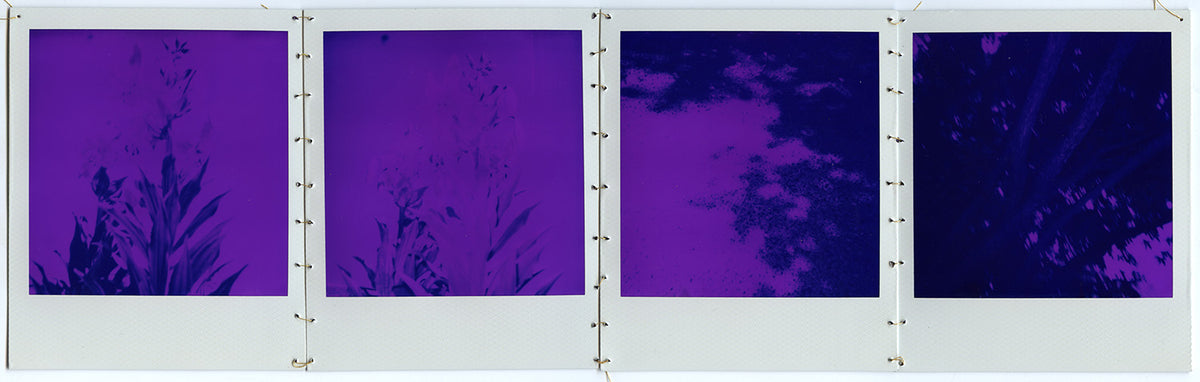 Annie Reierson - CTL 2026 Print, $25