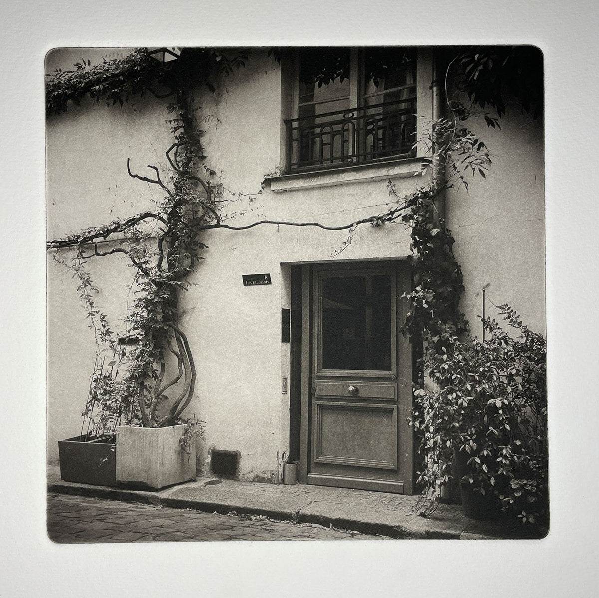 Working with Polymer Plate Photogravure - Winter 2027