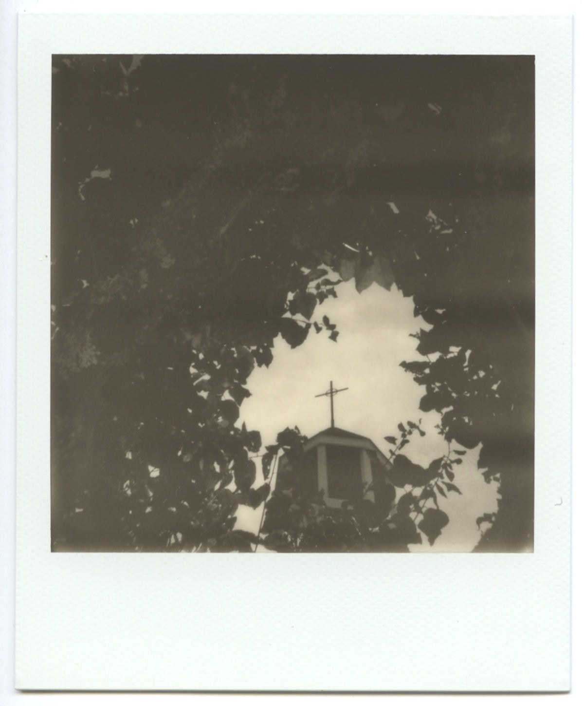 Erin Spencer - CTL 2026 Print, $25