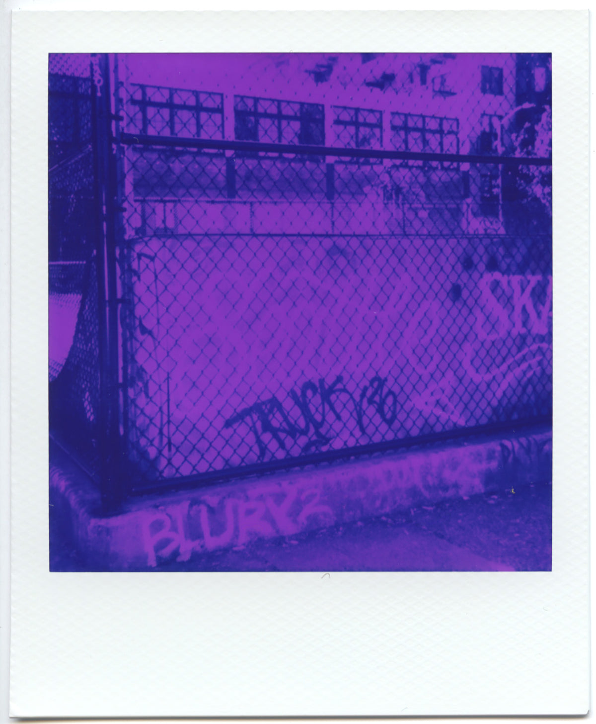 Evy Ibarra - CTL 2026 Print, $25