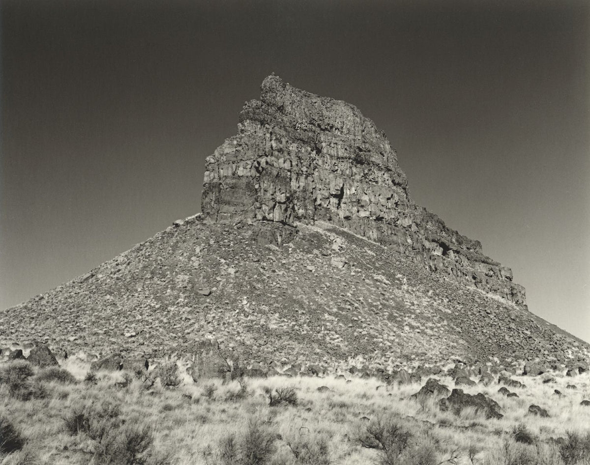 Large Format Film - Summer 2026