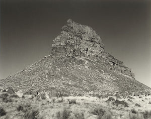 Large Format Film - Summer 2026