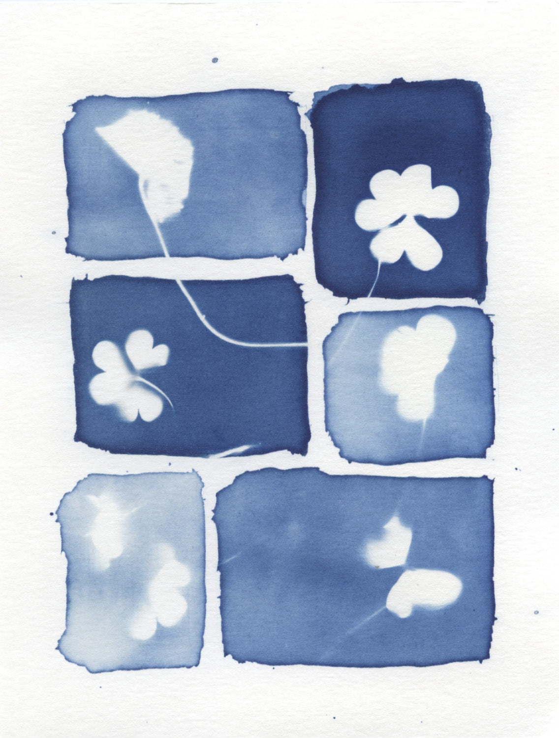 Harini Krishnamurthy - CTL 2026 Print, $25