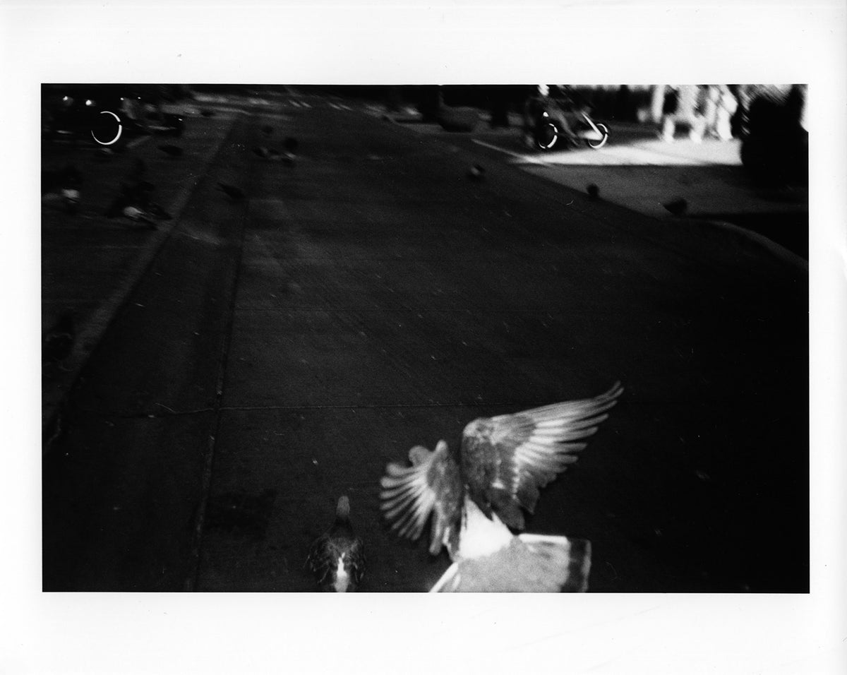 Jake Alexander - CTL 2026 Print, $25