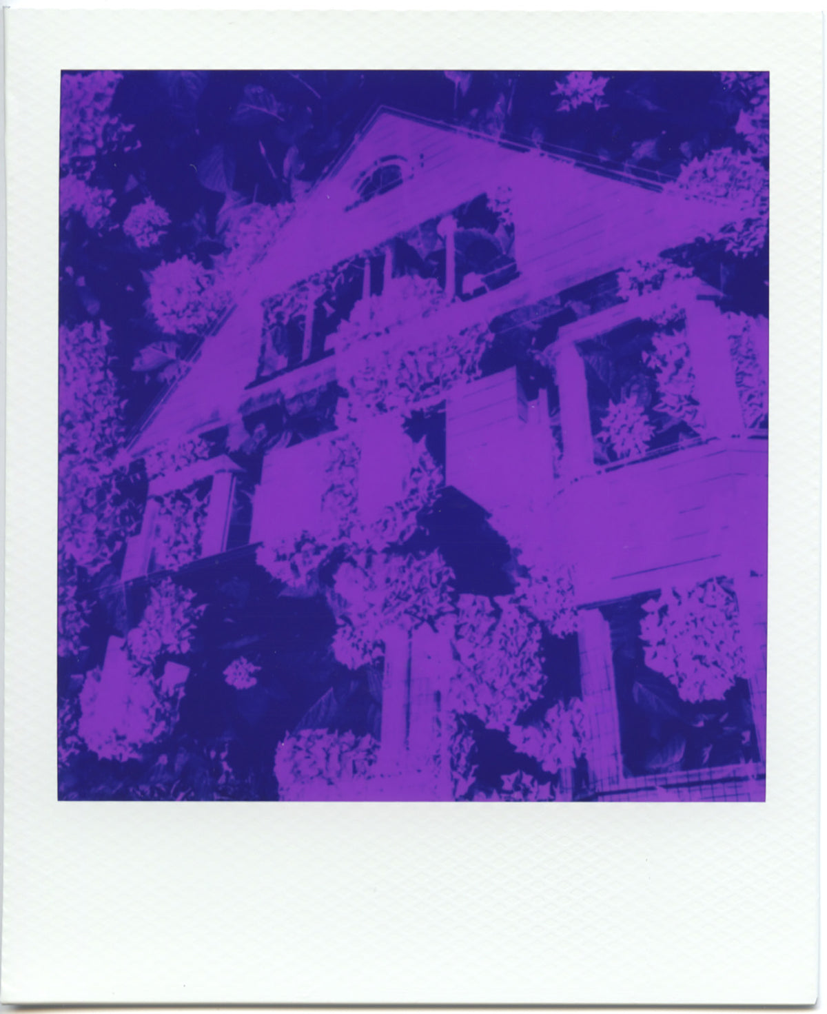 Jeremy Tetzlaff - CTL 2026 Print, $25