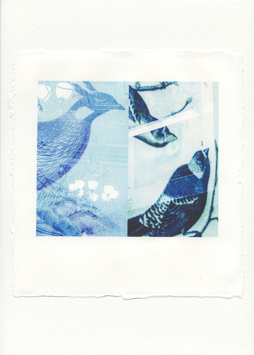 Julie Gottesman - CTL 2026 Print, $25