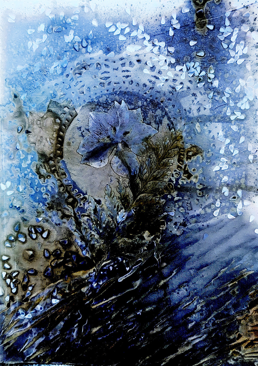 Kassandra Eller - CTL 2026 Print, $25