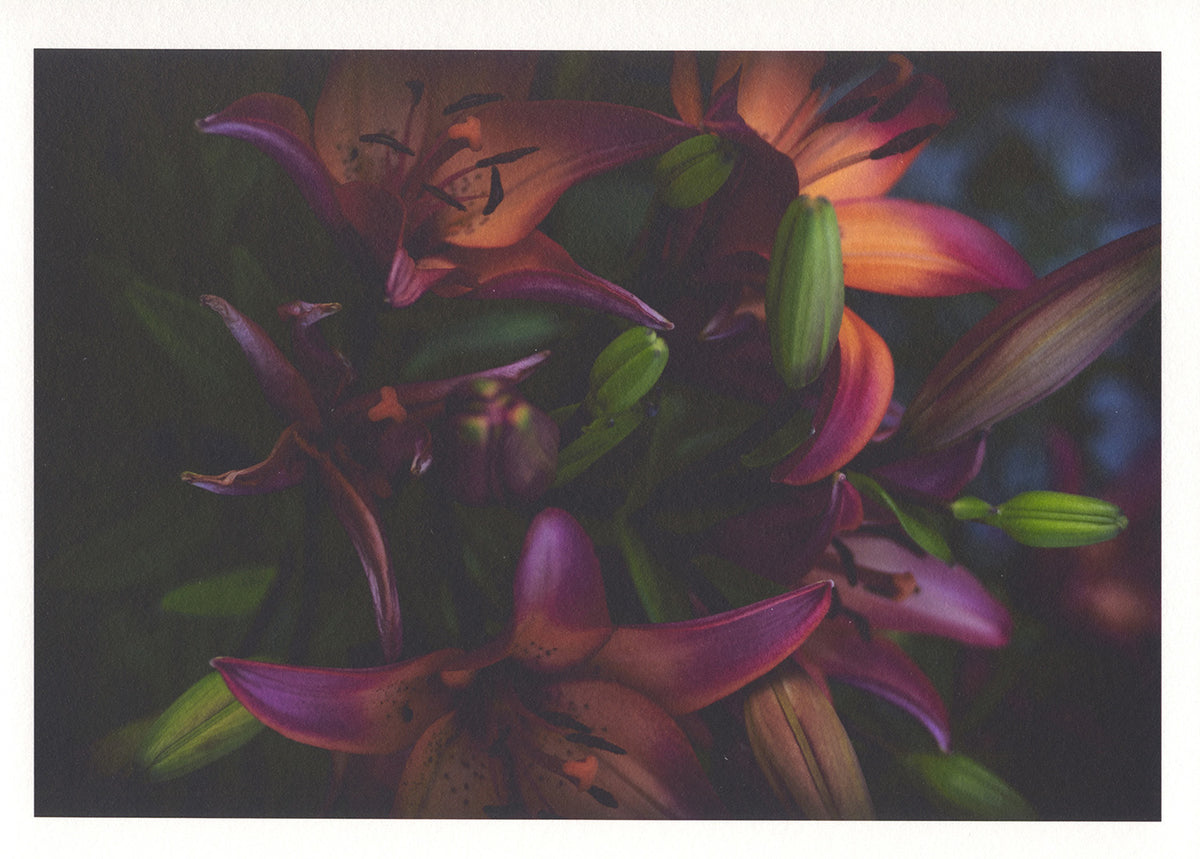 Kathryn Lorenzini - CTL 2026 Print, $25