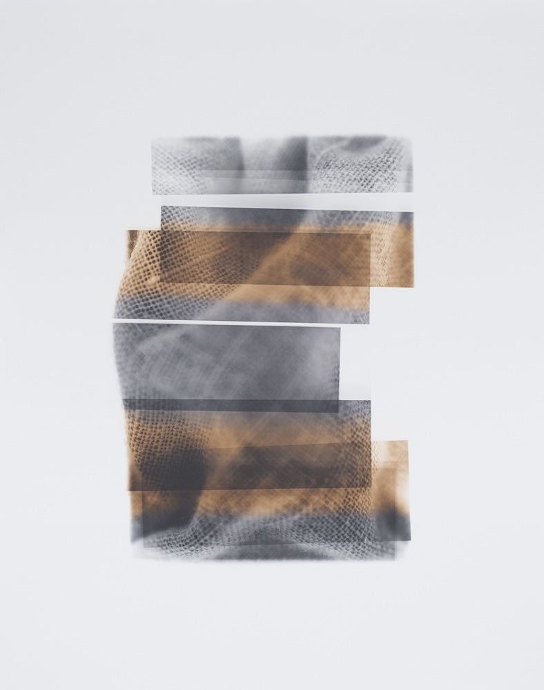 Bleaching and Toning in the Darkroom - Winter 2027