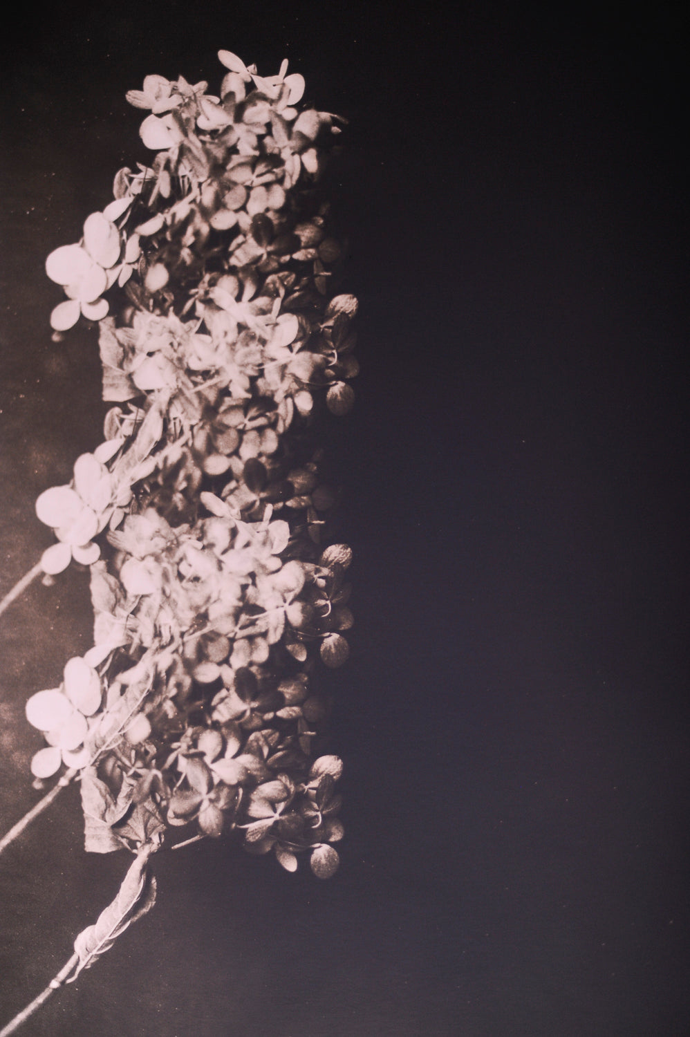 Lith Printing - Fall 2026