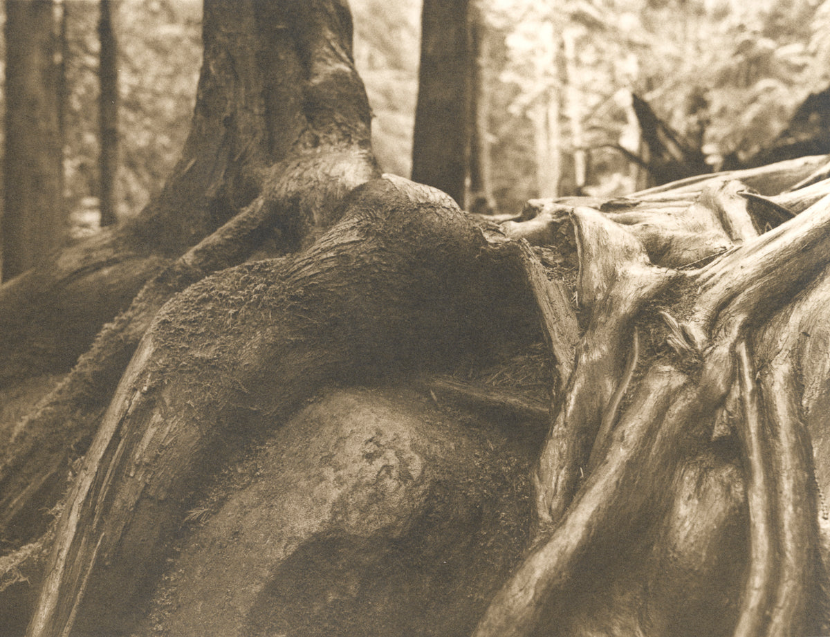 Lith Printing - Fall 2026