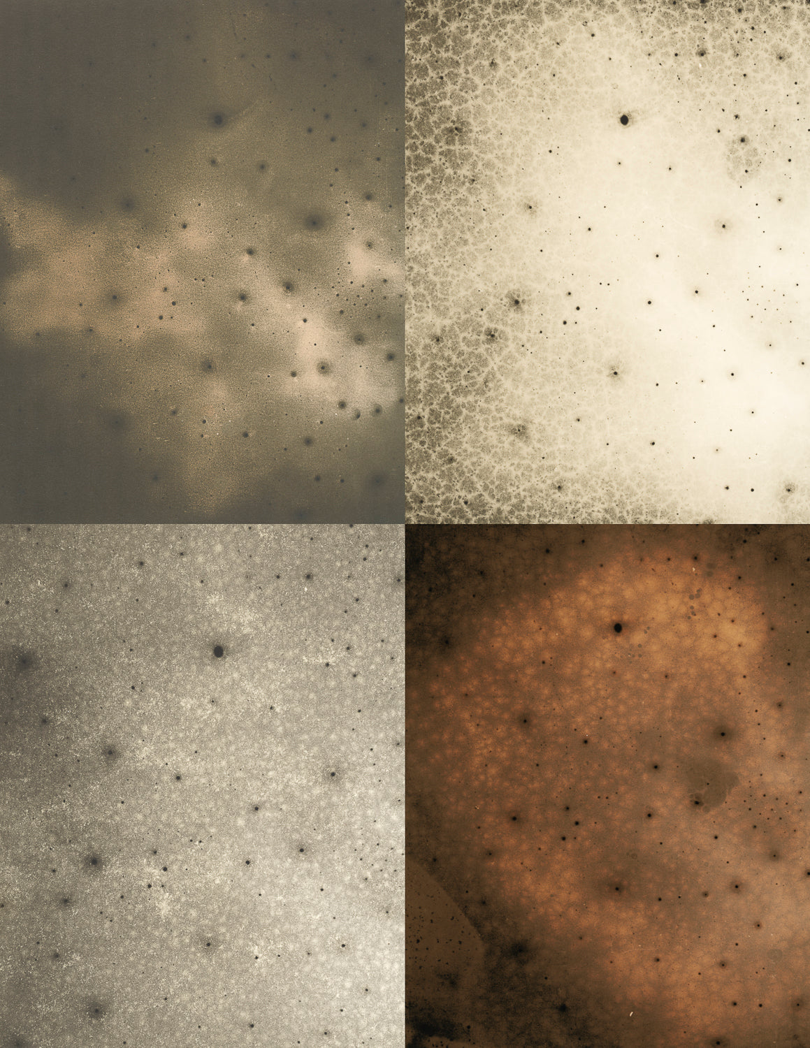 Lith Printing - Fall 2026