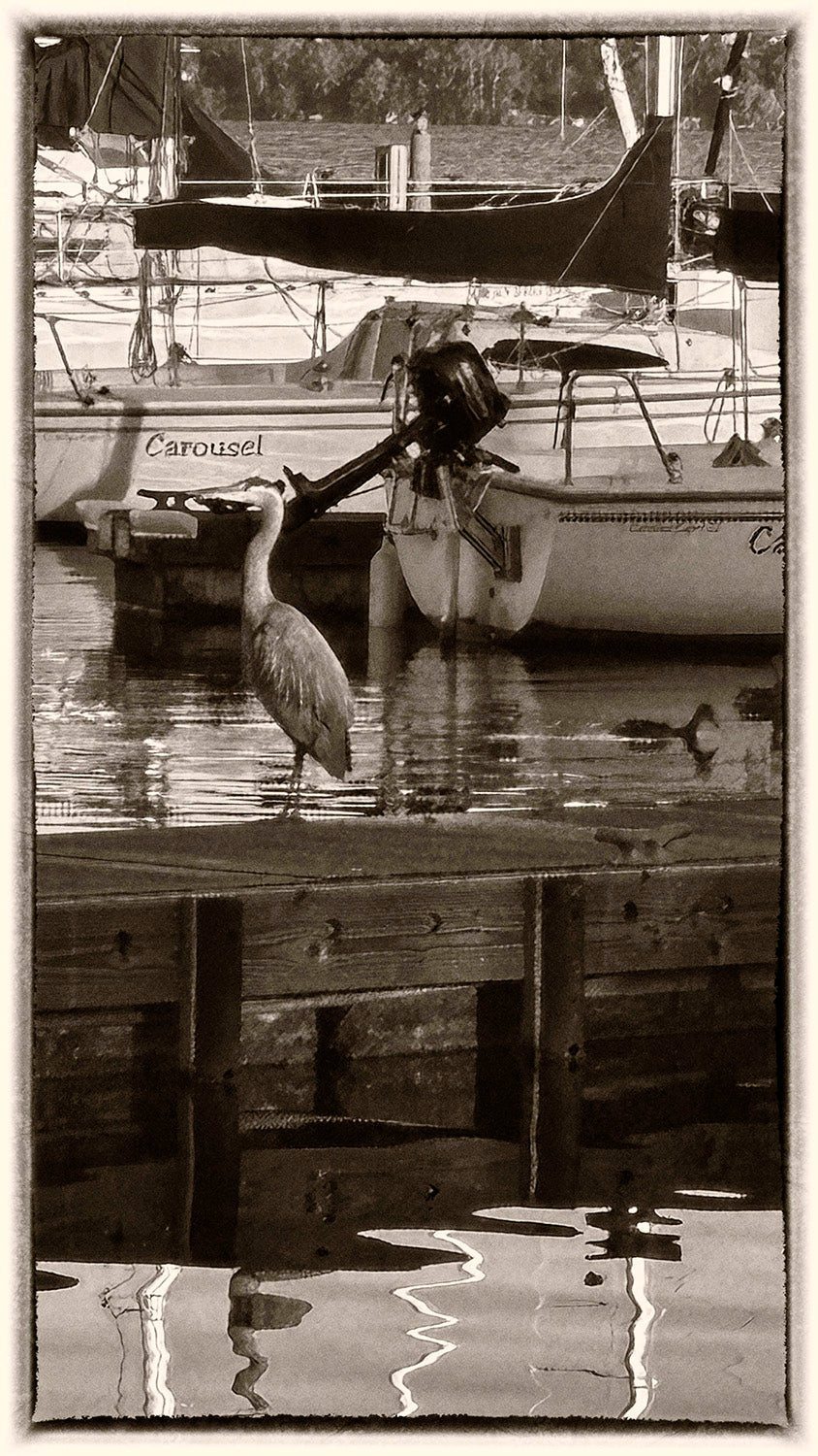 Lyn M Archer - CTL 2026 Print, $25