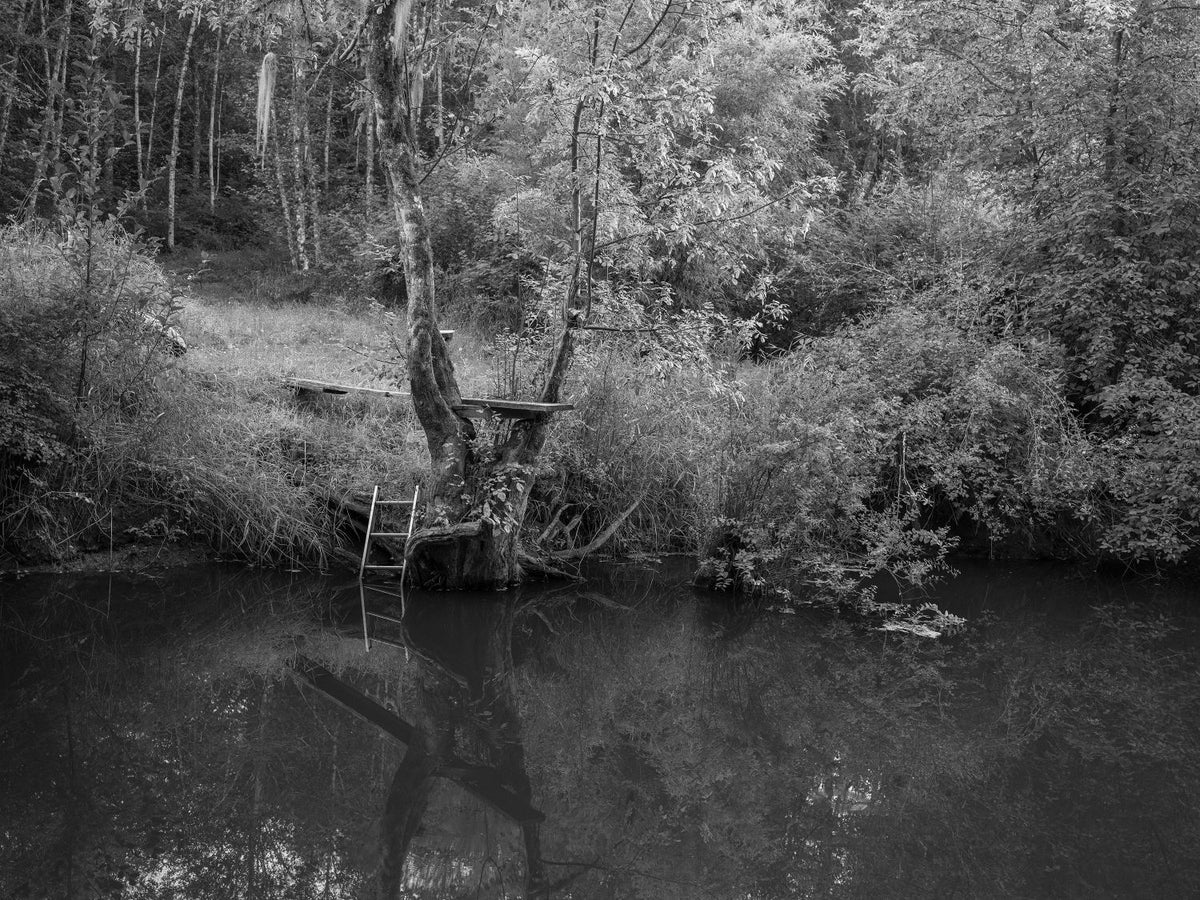 CTL 2026 - Fall City Photo Walk (Fall City, WA)