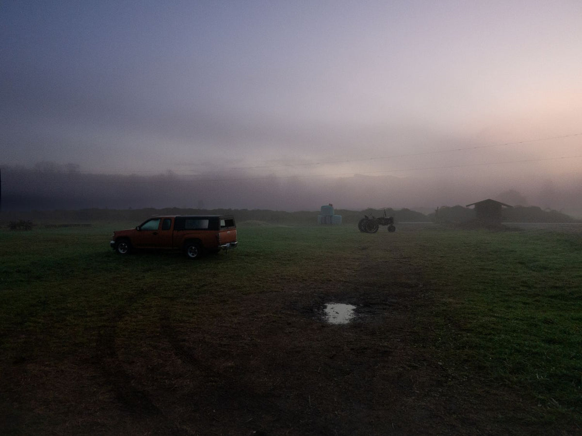 CTL 2026 - Fall City Photo Walk (Fall City, WA)