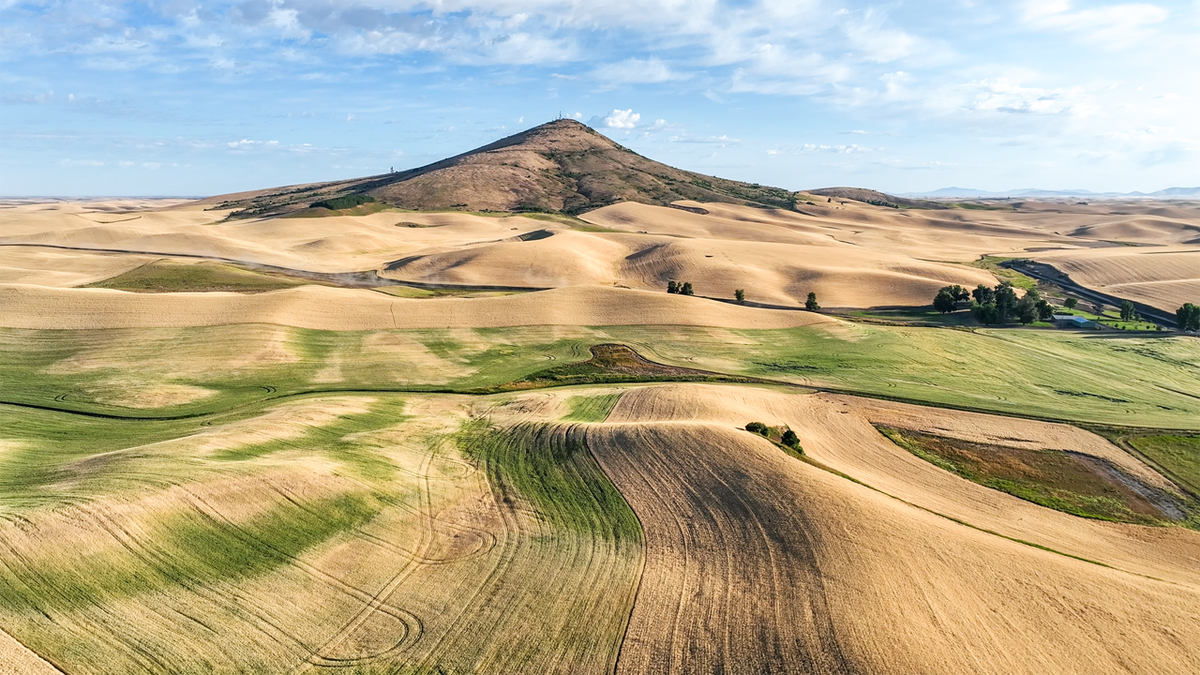 Launch Pad: Everything You Need to Know to Get Started Flying & Photographing with Drones - Spring 2026