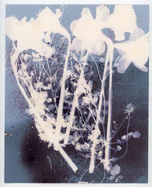 Introduction to Alternative Process Photography - Fall 2026