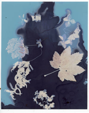 Introduction to Alternative Process Photography - Fall 2026