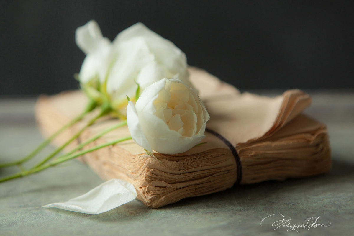 A Moment in Time - Finding Poetry in the Photographic Still Life - Winter 2026