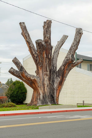 Wanderlust: Photography's Improvisational Relationship with Walking - Summer 2026