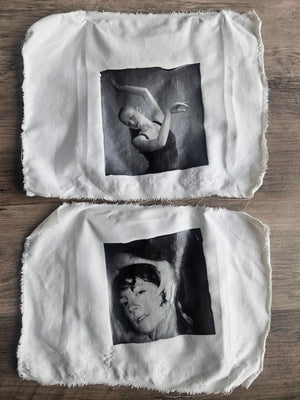 Polaroid Transfers - Winter 2027