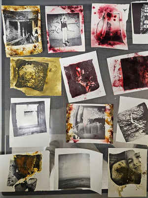 Polaroid Transfers - Winter 2027