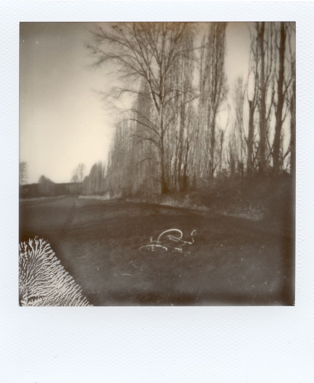 CTL 2026 - Polaroid Photo Walk (Seattle, WA)
