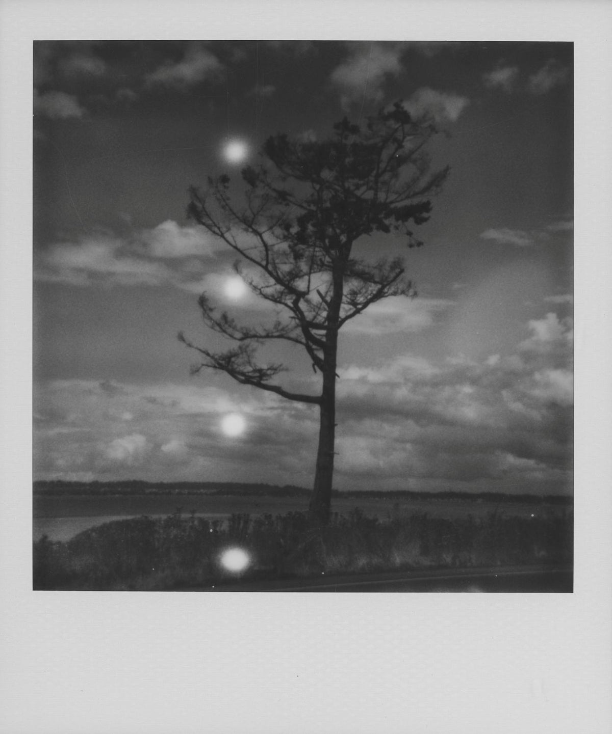 CTL 2026 - Polaroid Photo Walk (Seattle, WA)