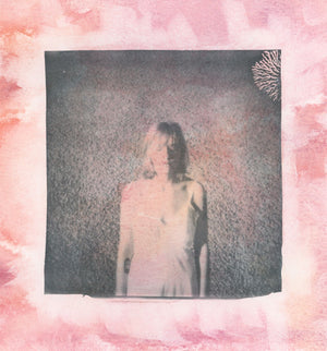 Polaroid Transfers - Winter 2027