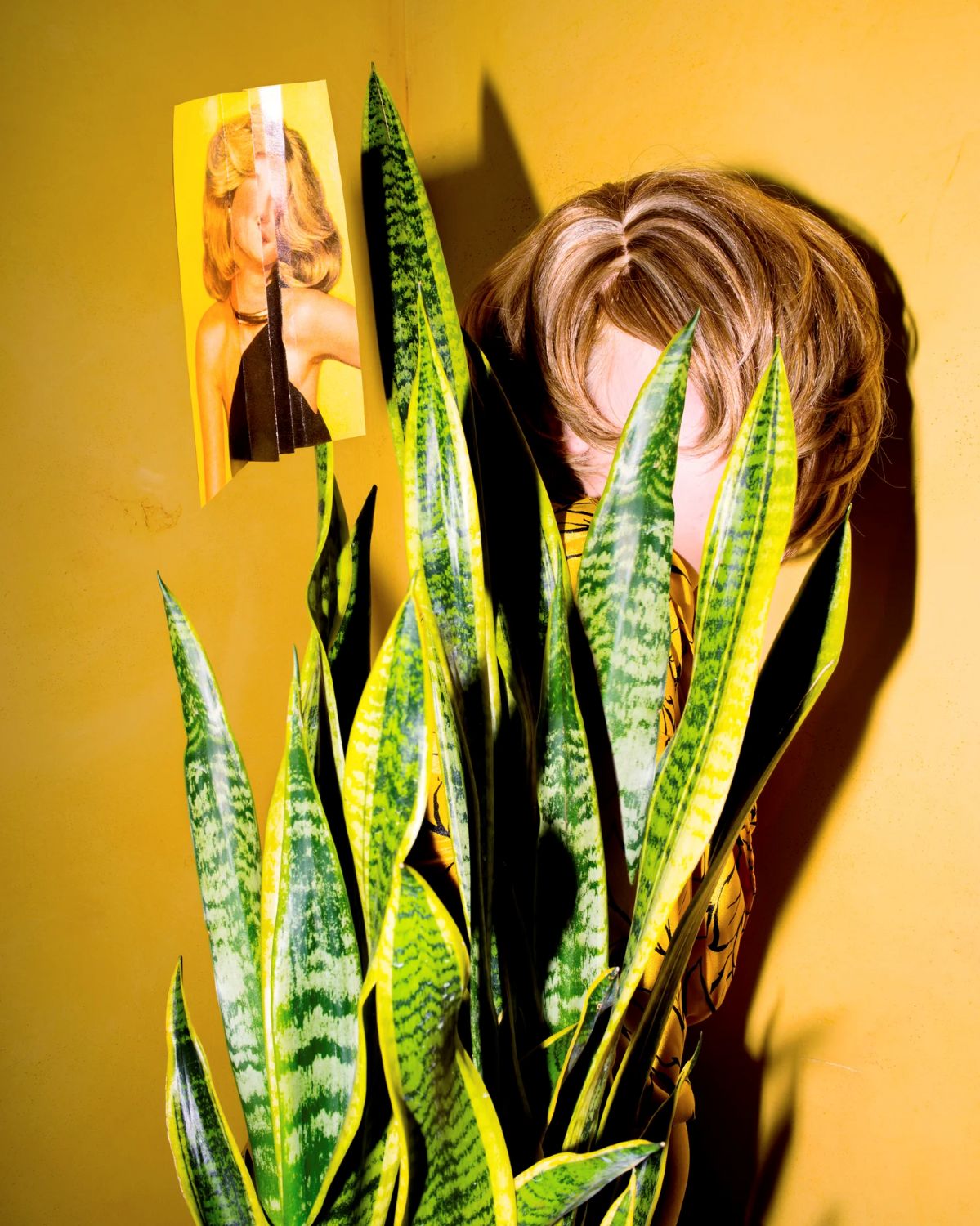 New Approaches to Still Life Photography - Spring 2026