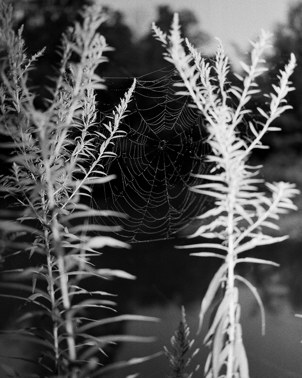 *WAIT-LIST* - Narrative in Photography - Fall 2025