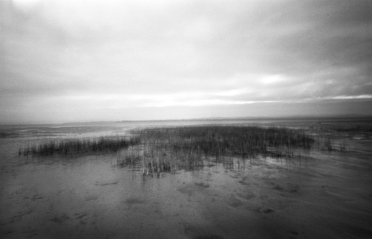 Tide Coming In, 2021