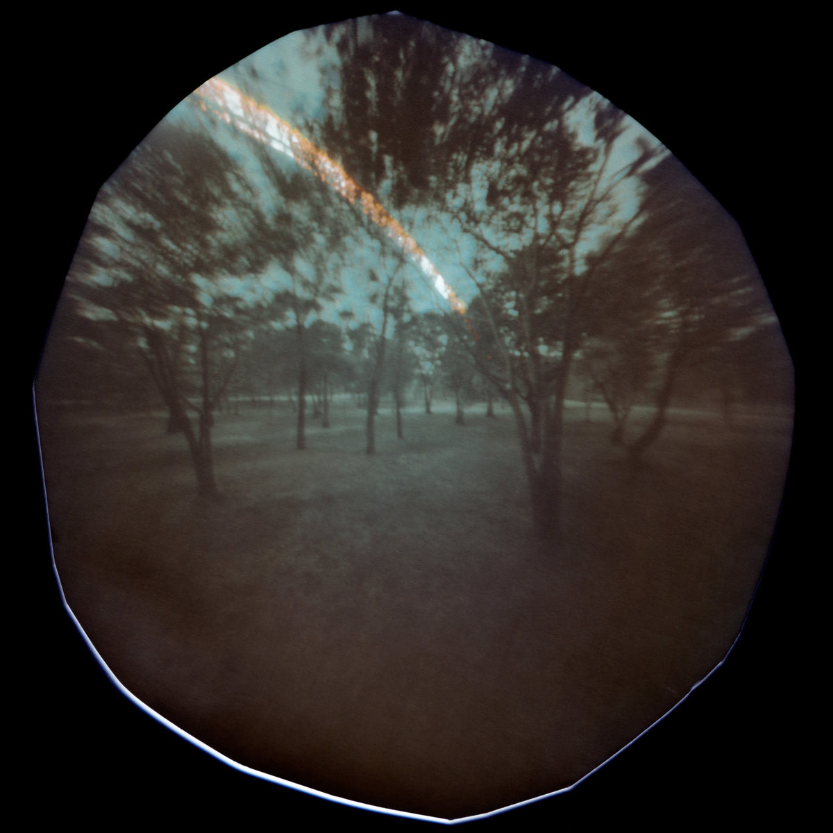 Jenny Riffle, Bosque de Chapultepec 12/21/2022 (from the series &quot;Cracks Into Other Worlds&quot;)