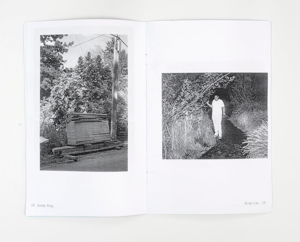 A Brave New Normal - Photographic Zine