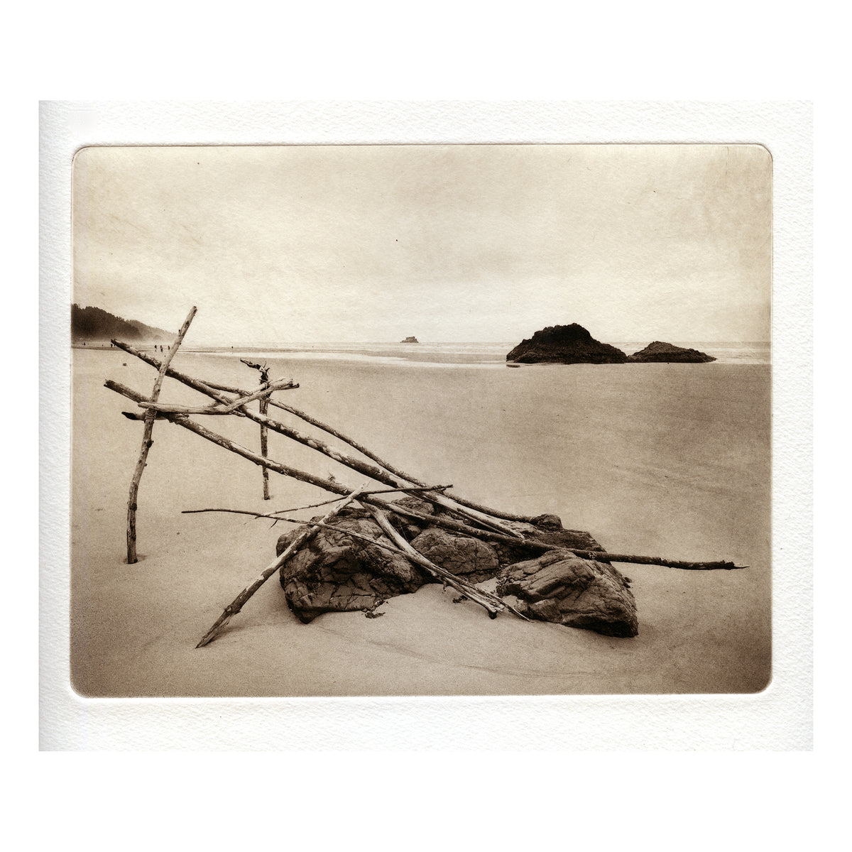 Intermediate Polymer Photogravure Printmaking - Summer 2026