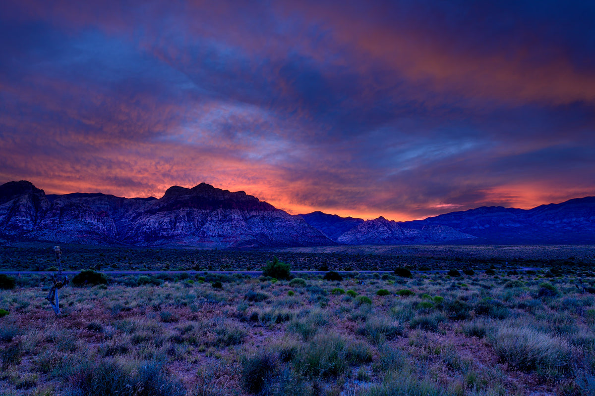 Contemporary Color - Winter 2026