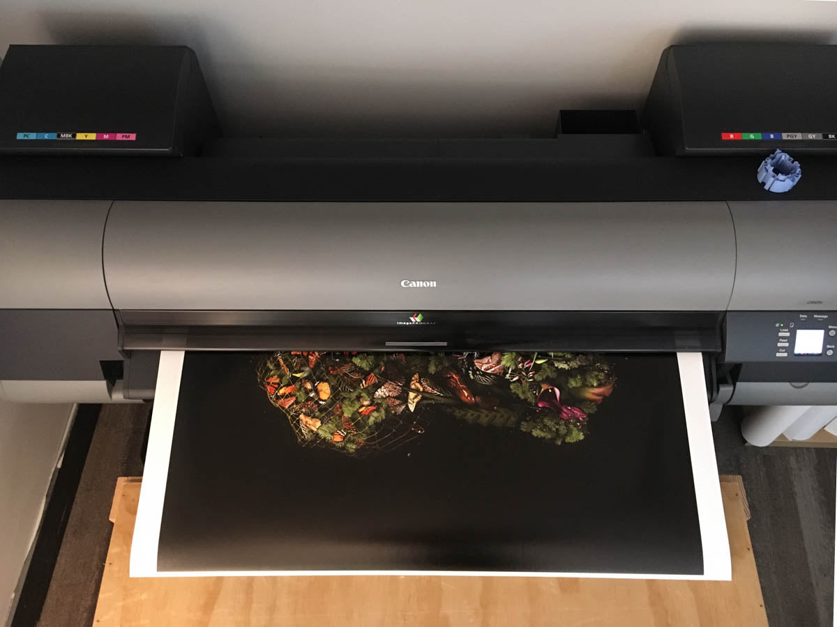 Fine Art Digital Printing - Spring 2026
